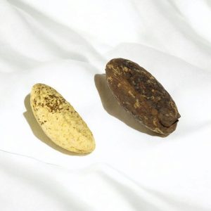 Orobô