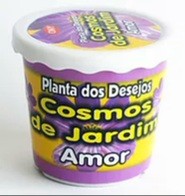 Planta do amor