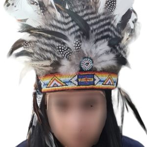 Cocar de Indio