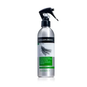 Perfume para Ambientes Acqua Aroma Dia a Dia 200ml Alecrim