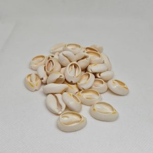 Buzios abertos